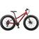 Mongoose Boys' 24” Argus Trail Fat Tire Mountain Bike - Red Men's Bike