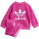 adidas Completo Crew Infant - Semi Lucid Fuchsia