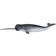 Mojo Narwhal 387354