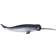 Mojo Narwhal 387354