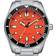 Citizen Eco-Drive (AW1760-81X)