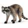 Schleich Raccoon 14828