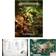 Games Workshop Warhammer Age of Sigmar introduktionsset