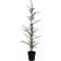 Nordic Winter Artificial Green/White Juletræ 120cm