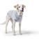 Hunter Dogcoat Birka 45