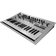 Korg Minilogue