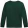 Ralph Lauren Kid's Polo Bear Cotton Jersey Long-Sleeve Tee - College Green (629103)