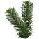 Star Trading Ottawa Green Julgran 210cm