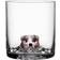 Kosta Boda Vaso New Friends Tumbler 46cl