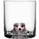 Kosta Boda Vaso New Friends Tumblerglas 46cl