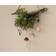 Maileg Star Beige/Gold Julgranspynt 6.1cm