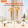 VEVOR Wedding Flower Stand for Decoration French Gold Vas 56cm 2st