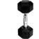 Abilica Hex Dumbbell 8kg