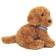 Hermann Teddy Goldendoodle Sitzend 919773