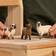Schleich Farm World Sheep Friends 42660