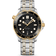 Omega Seamaster (210.20.42.20.01.002)