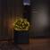 Konstsmide 200 Outdoor Warm White LED Ljusslinga 200 Lampor