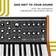 Moog Subsequent 25