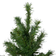 Northlight Potted Virginia Pine Walkway Slim Artificial Green Christmas Tree 48"