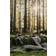 Lovely Linen Dug Jeep Green Bordsduk Grön (300x145cm)