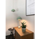&Tradition Flowerpot VP1 Soft Green Pendant Lamp ∅ 23cm