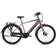 Adore E-Citybike CX-290 28" 2024 Bronze Matt Unisex