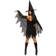 Dreamgirl Miss Enchantment Adult Women's Costume