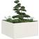 vidaXL Plantekasse 80 x 80 x 40 cm Koldvalset Stål Hvid Plantekasse