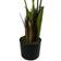 Leaf Kentia Palm Realistic Botanik Green Artificial Plant