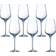 Chef & Sommelier Sublime Hvidvinsglas 35cl 6stk