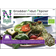 Nelson Garden Groddar Alfalfa Organic