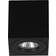 Eglo Torrecola Black Ceiling Flush Light 8cm