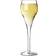 Arcoroc Brio Champagne Glass 16cl