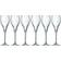 Chef & Sommelier Symmetrie Champagneglas 16cl 6stk