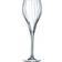 Chef & Sommelier Symmetrie Champagne Glass 16cl 6pcs