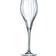Chef & Sommelier Symmetrie Champagneglas 16cl 6stk