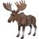 Mojo Moose 387023