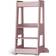 TiSsi Felix Learning Tower Oriental Rose