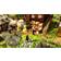 Grotesque Tactics: Premium Edition (PC)