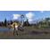 Jurassic World Evolution 2 (XOne)