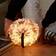 Gingko LED Accordion Zebra Brown Table Lamp 3.5cm