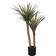 BigBuy Home Decorative Rubber Green/Black Artificial Plant