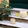 Byon Arlo Yellow/Beige Fyrfadsstage 10cm