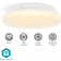 Nedis SmartLife White Takplafond ∅ 26cm