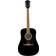 Fender FA-125 Dreadnought