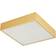 Happy Homewares Modern Square Brushed Gold/Opal Ceiling Flush Light 30cm