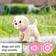 Zapf 835869 My Dog Lucky with Multi