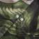OHS Floral Botanics Duvet Cover Green, Black (200x200cm)
