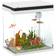 Pawhut 14L Small LED Fish Tank with Filter System