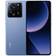 Xiaomi 13T Dual-SIM 256GB ROM + 12GB RAM 5G Smartphone (Meadow Green)